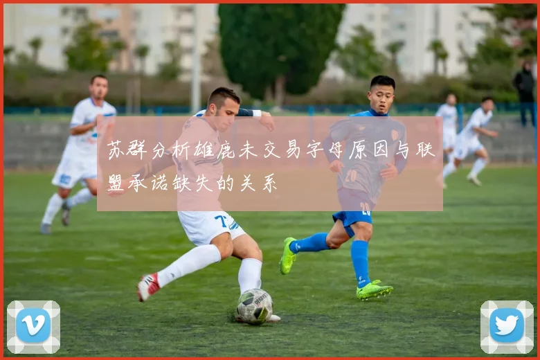 苏群分析雄鹿未交易字母原因与联盟承诺缺失的关系